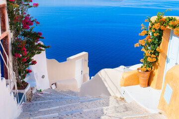 beautiful details of Santorini island, Greece