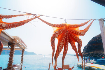 sun dried octopus