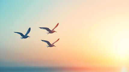 Fototapeta premium Seagulls Soar Free Under Soft Summer Skies