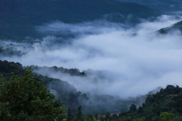 fog in the mountain in Yunnan