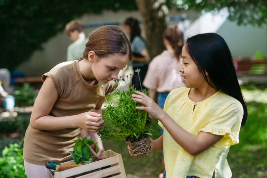 Portrait of cute schoolgirls taking care of plants in school garden during at outdoor sustainable education class. Concept of experiential learning and ecoliteracy.