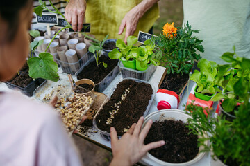 Students growing vegetable and herb seedlings. Outdoor sustainable education class in school...