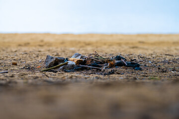 Burnt out camp fire on a sand beach.