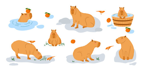 Obraz premium Capybara set. Funny amusing capybara characters swimming, bathing, walking, relaxing. Animals with pleasure isolated on white. Cute funny cartoon character. Largest rodent. Hydrochoerus hydrochaeris.
