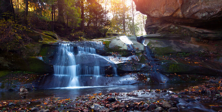 autumn morning in the forest, awesome autumn view in Carpathian mountains, Europe, Ukraine, near Kosiv. Huzul region