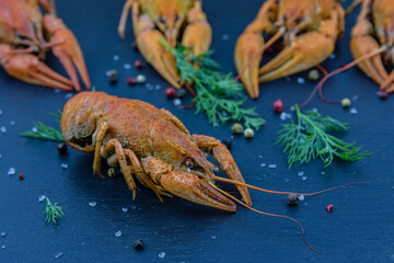 Slate board with the boiled crayfishes and spices