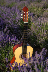 Acoustic guitar in a blooming lavender field