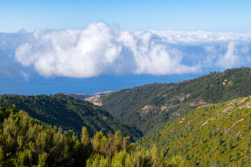 Spectacular north coast of Madeira