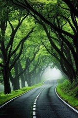 Obraz premium Winding Road Through Foggy Forest