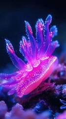 coral reef in aquarium