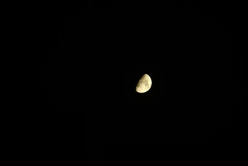 The Moon