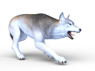 オオカミ　3DCGレンダリング
