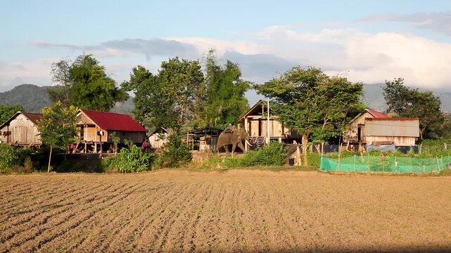Minority village with fields and traditional longhouses, Lak Lake, Vietnam, Asia