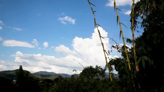 Yellow bamboo poles in front of a blue sky and mountain landscape, Vietnam, Asia