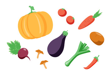 Food. Vector illustration: pumpkin, rosemary, apple, basket, teapot, pineapple, broccoli, lemon, avocado, plate