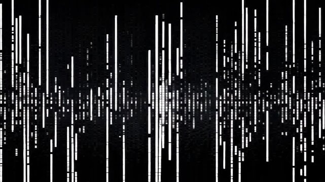 black and white lines motion design animation