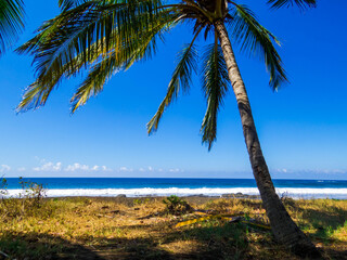 Playa Junquillal, Guanacaste, Costa Rica