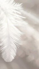 Close-Up of a Single White Feather on a Soft White Background, Evoking Purity and Softness