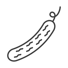Cucumber icon simple line. Outline style illustration. EPS 10. Isolated in white.