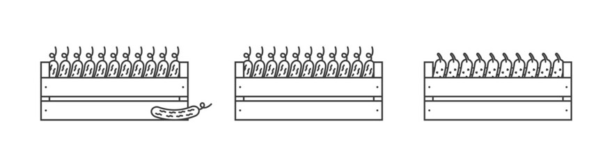 Cucumbers in a wooden box icons outline. Vegetables in a wooden box line icon. Logo illustration. Harvest symbol