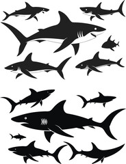 set of sharks in different poses silhouette, vector 