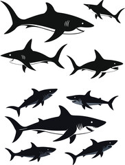 set of sharks in different poses silhouette, vector 