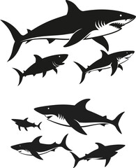 set of sharks in different poses silhouette, vector 