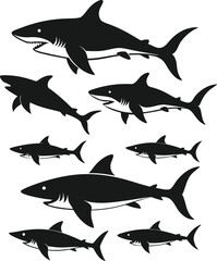 set of sharks in different poses silhouette, vector 