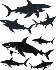 set of sharks in different poses silhouette, vector 
