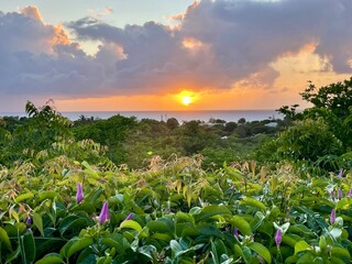 Beautiful sunset in the Tropica