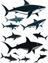 set of sharks in different poses silhouette, vector 