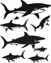 set of sharks in different poses silhouette, vector 