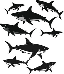 set of sharks in different poses silhouette, vector 