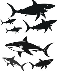 set of sharks in different poses silhouette, vector 