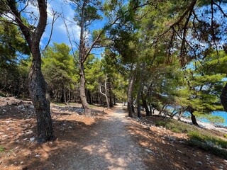 Fototapeta premium Island of Badija in Korcula Archipelago, Croatia