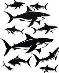 set of sharks in different poses silhouette, vector 