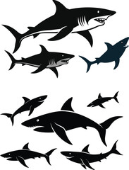 set of sharks in different poses silhouette, vector 