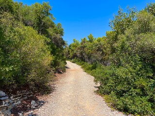 Island of Badija in Korcula Archipelago, Croatia