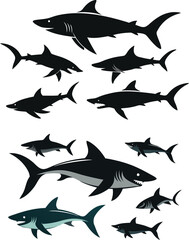 set of sharks in different poses silhouette, vector 