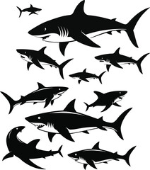 set of sharks in different poses silhouette, vector 