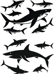set of sharks in different poses silhouette, vector 