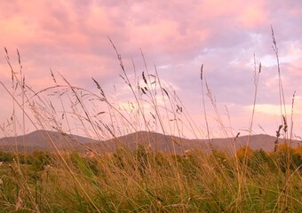 Beskid mountains and meadow view, sunset purple landscape as illustration of travel, tourism, walking, hiking