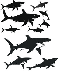 Obraz premium set of sharks in different poses silhouette, vector 