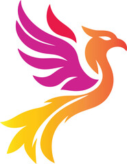 Bird  silhouette color  illustration 17