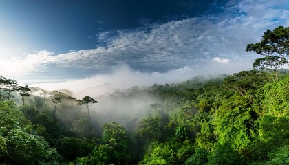 the atmosphere of the forest in the morning is filled with thick fog. generative ai