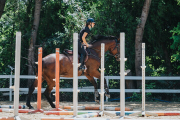 Rider training on a brown horse over hurdles in an outdoor equestrian arena, showcasing focus and...