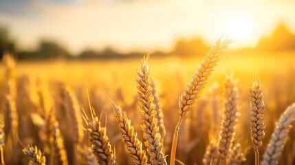 American flag waving in a field of golden wheat, symbolizing prosperity and patriotism, Realism, Warm tones, Natural light