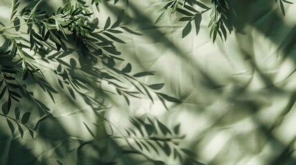 A close up shot of green leaves casting shadows on a textured surface. The leaves are out of focus and the shadows are the main subject.