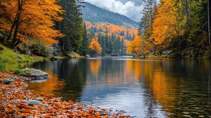 Naklejka premium Autumn Reflection in a Forest Lake.
