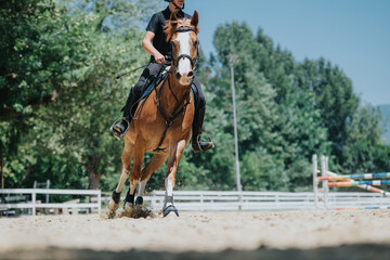 Equestrian riding a horse at a show jumping practice on a sunny day. Rider and horse engaging in...